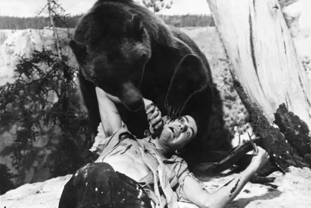 Posed Grizzly Bear attack during construction of Grizzly Bear Group. 1941.
